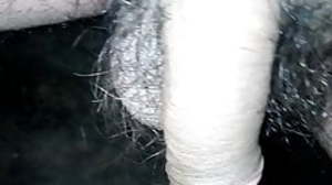 Indian dick non-erected penis hairy cock balls