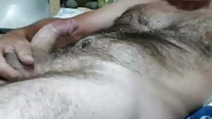 thick dom bear daddy shoots on his hairy chest